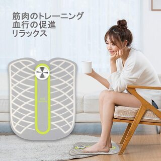 新品未使用　スタイルマット EMSフットフィットの画像