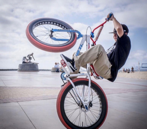 自転車　SEバイク