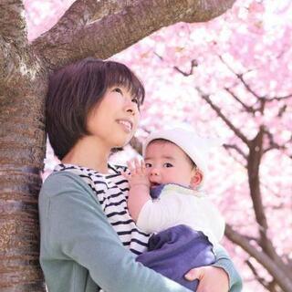 【出張桜フォト撮影】ファミリー、お友達同士、個人でも…