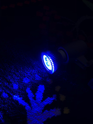 LEDライト　3点セット