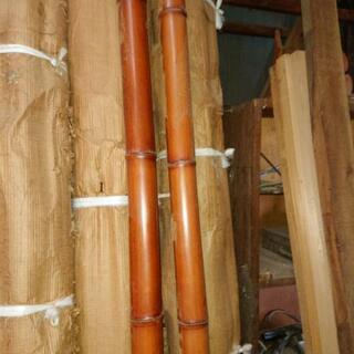 すすたけ ❓の画像