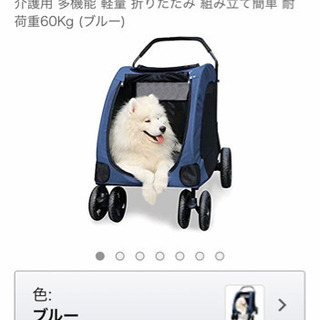 中型犬のバギーを譲って下さい。