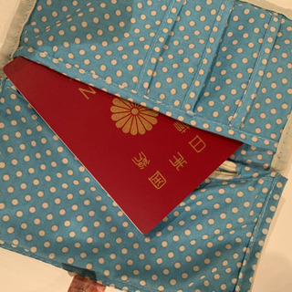 小物収納ポーチ　パスポートも入ります。の画像