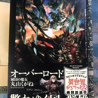 オーバーロード14巻 美品