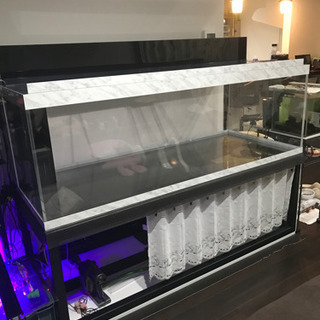 アクリル水槽・上部ろ過槽・水槽台セット（内容を変更しました）