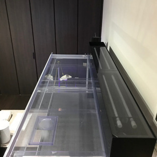 アクリル水槽・上部ろ過槽・水槽台セット（内容を変更しました）