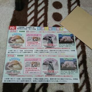 共通入場引換券