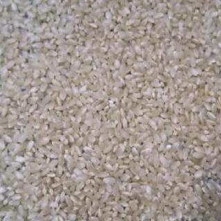 【旧長岡市近郊無料配達可能】令和元年長岡産コシヒカリ整粒20キロ玄米の画像