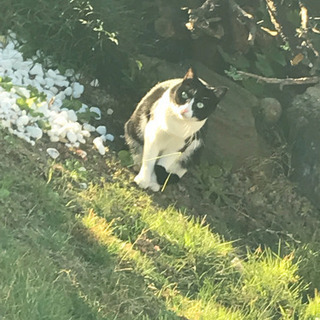 岸和田に越してきて早数ヶ月…