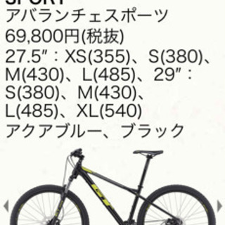 アバランチェスポーツ レンタサイクル車