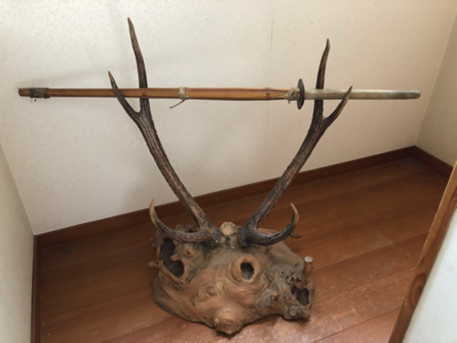 鹿の角・天然木台付き⭐️刀置き⭐️オブジェ⭐️約１２kg