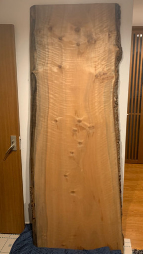 天然木　日本国産　一枚板　タブの木