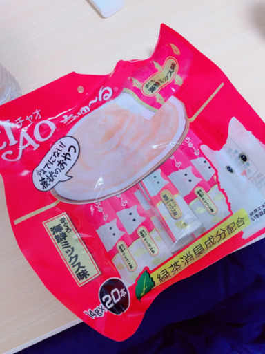 猫　飼育セット ゲージ