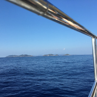 🐬ダイビング仲間募集！！🐬 - 友達