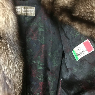 美品 サガフォックスの画像
