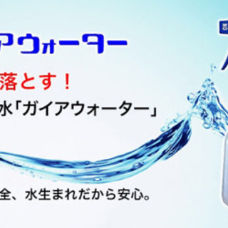 ②強アルカリ電解水　ph12,6 ガイアウォーター 2Lボトル＋500ml入スプレーボトルセットの画像