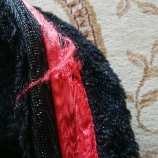 ミッキーのリュックの画像