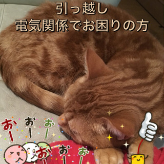 引っ越し、電気関係でお困りの方