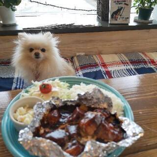 ワンちゃん好き歓迎！ドッグカフェホールキッチンスタッフ大募集！