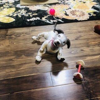 SONY aibo ERS-1000の画像