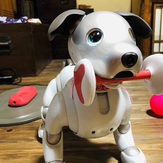 SONY aibo ERS-1000の画像