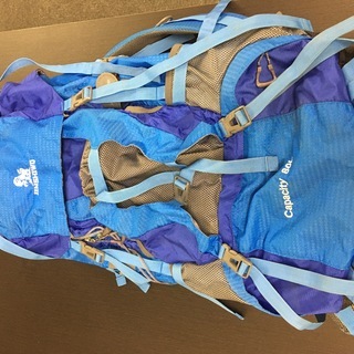 Phoenix Ikki 80L（カラー：ブルー）　取りに来てく...