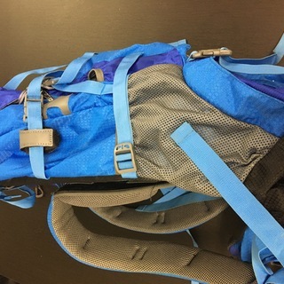 Phoenix Ikki 80L（カラー：ブルー）　取りに来てくれる方限定でお譲りいたします。の画像