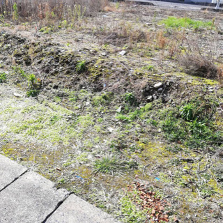 格安　空き地　草刈り　整地　解体　