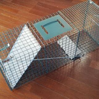 アニマルキャッチャーの画像