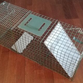 アニマルキャッチャーの画像