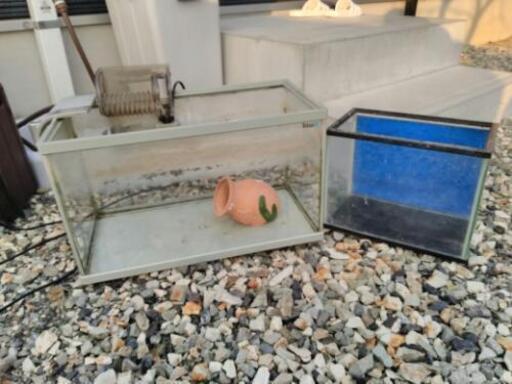 水槽セット