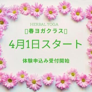 ４月1日〜春ヨガstart🌺体験募集中(*´˘`*)♡