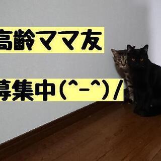 高齢ママ友募集中！！
