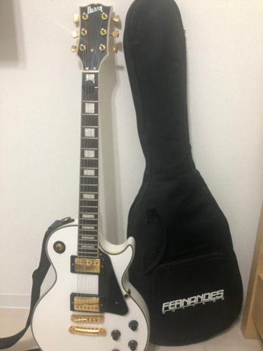 エレキギター、ギター入れ