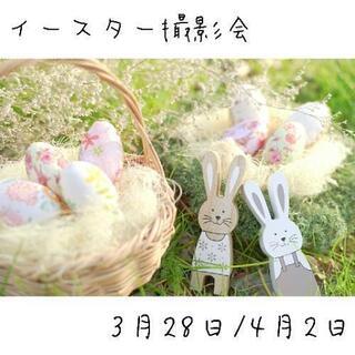【3/28,4/2】🐰イースター撮影会🐰