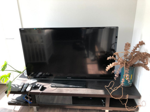 断捨離中　60インチテレビ
