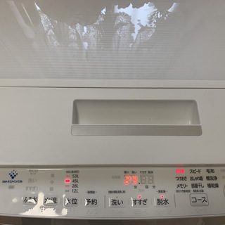 2019年製 TOSHIBA 全自動洗濯機 美品 グランホワイト