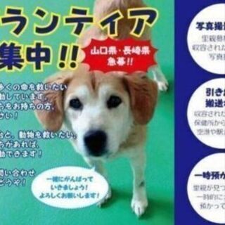 長崎　大村から緊急🚨ボランティア募集