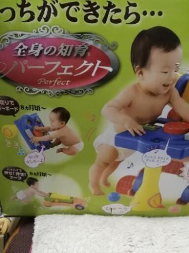 全身の知育パーフェクト