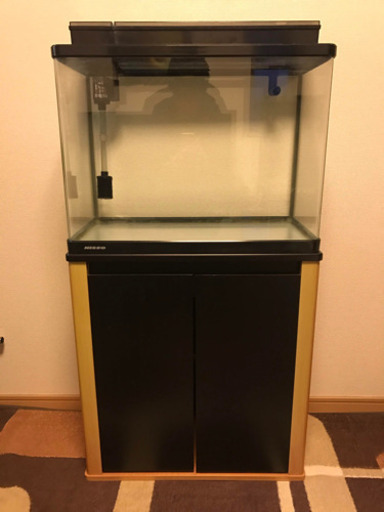 60cm〈希少〉Highタイプ曲げガラス水槽、水槽台 上部フィルターセット