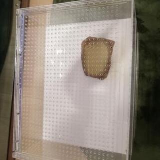 爬虫類ケージ・水入れ　※最終値下げの画像