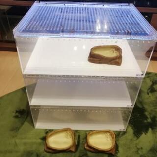 爬虫類ケージ・水入れ　※最終値下げ