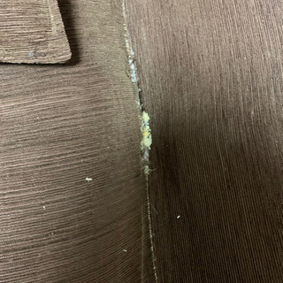 処分に困っていますの画像