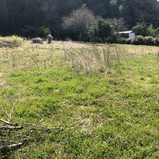 畑をお貸しします〜豊後大野市三重町〜