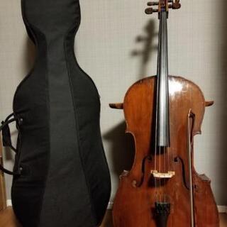 フルセット！ 1/2分数 オールドチェロ 1721年製作のオールドイタリー