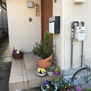 箏　三弦教室の画像