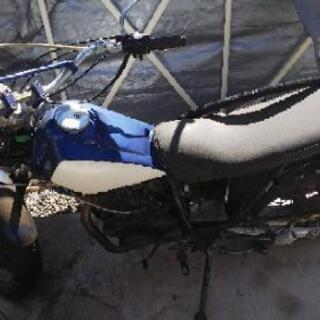 TW200の画像