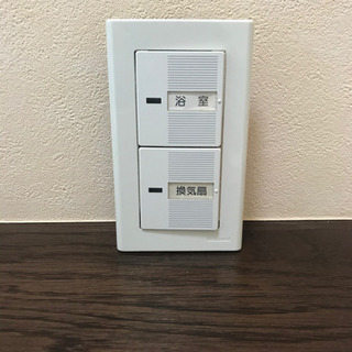 ダブルスイッチ