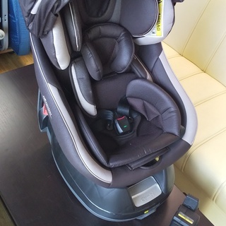 combi】コンビ チャイルドシートソテツ そてつ 蘇鉄 庭木 植木