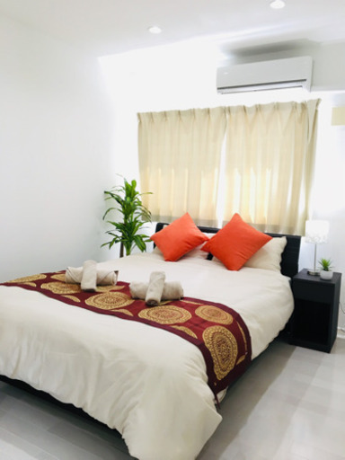 Sleeping cure ダブルベッドポケットコイルマットレス